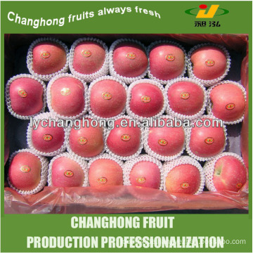 China Großhandel Karton 10kg Apple